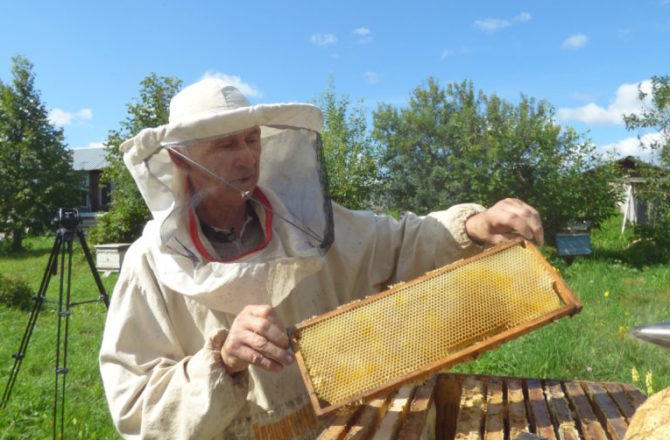 В крестьянско-фермерском хозяйстве Игоря Сивкова — наивкуснейший мёд!
